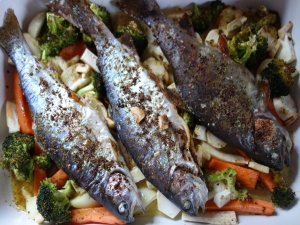 lov pstruhů Cesky Krumlov lov pstruhů Cesky Krumlov